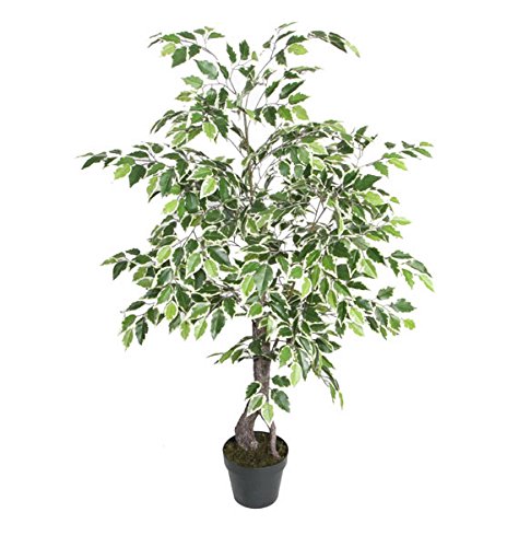 Best Artificial 4ft - 120cm Variegated Ficus Tree