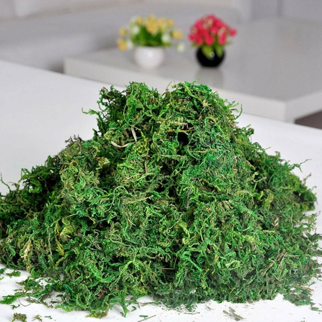 Best Artificial Reindeer Moss Dried Decoration
