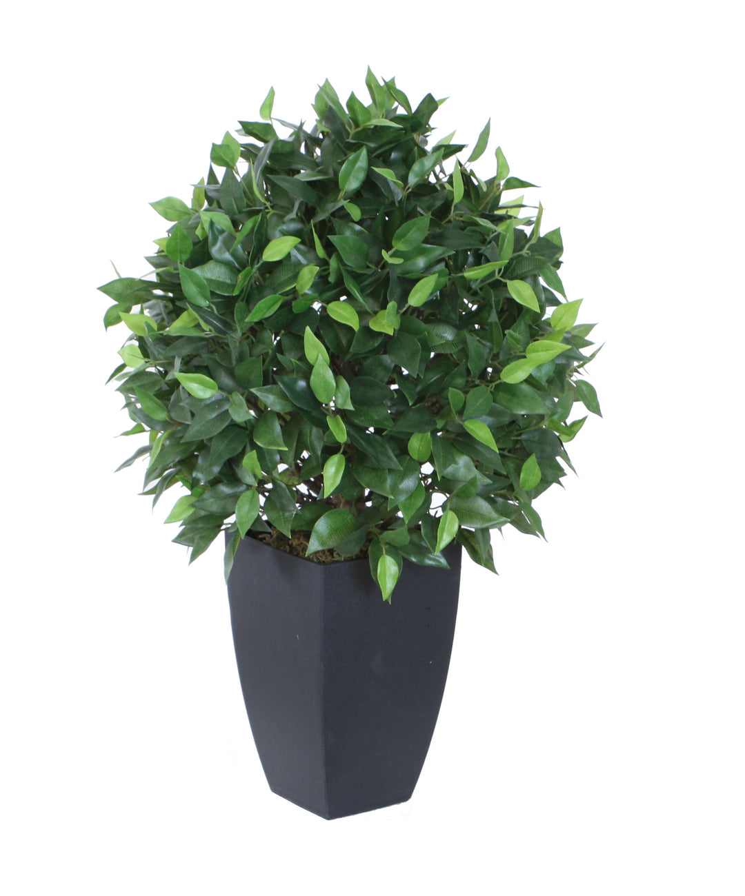 Best Artificial 2ft - 60cm Ficus Tree