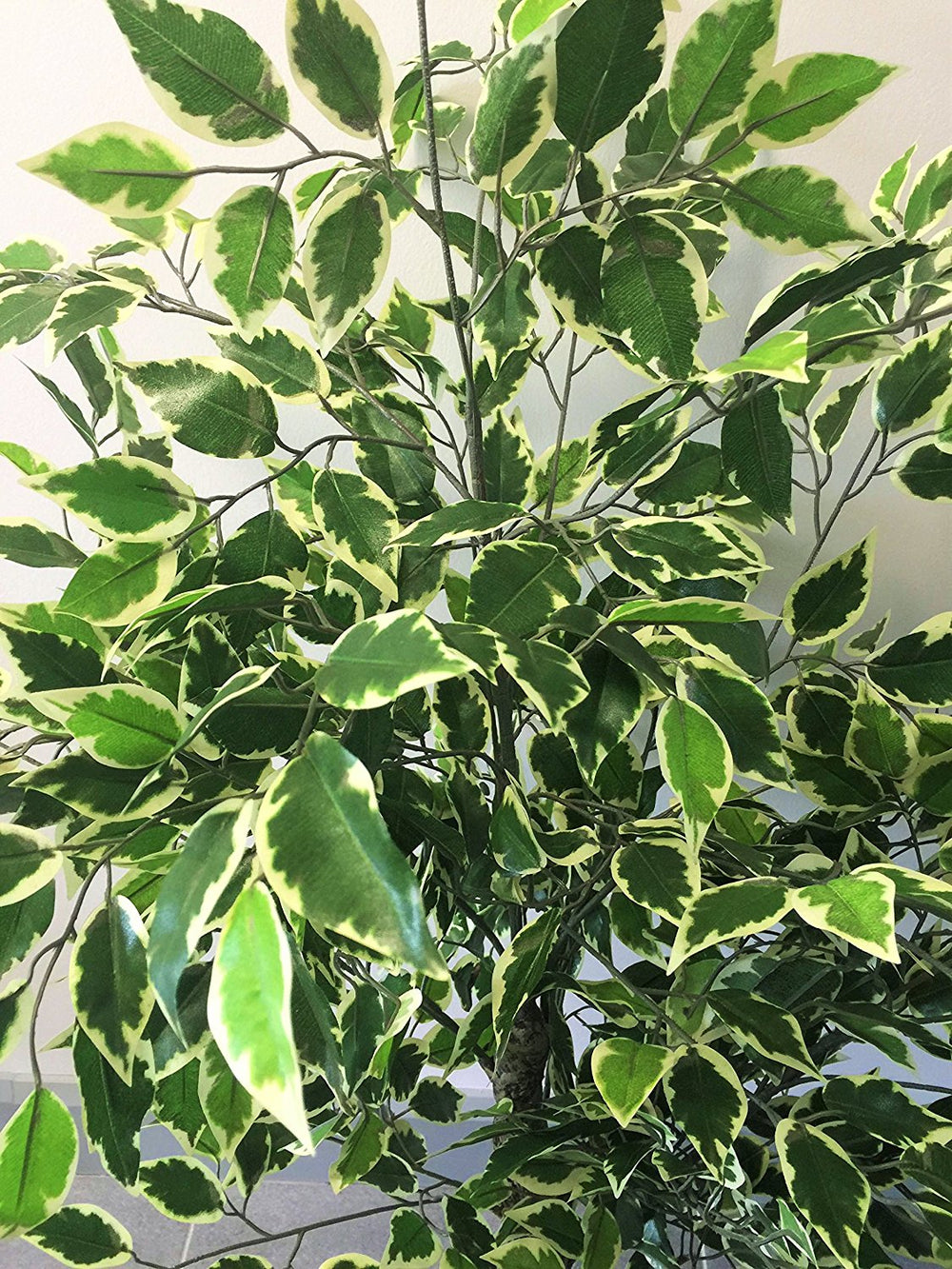 Best Artificial 4ft - 120cm Variegated Ficus Tree