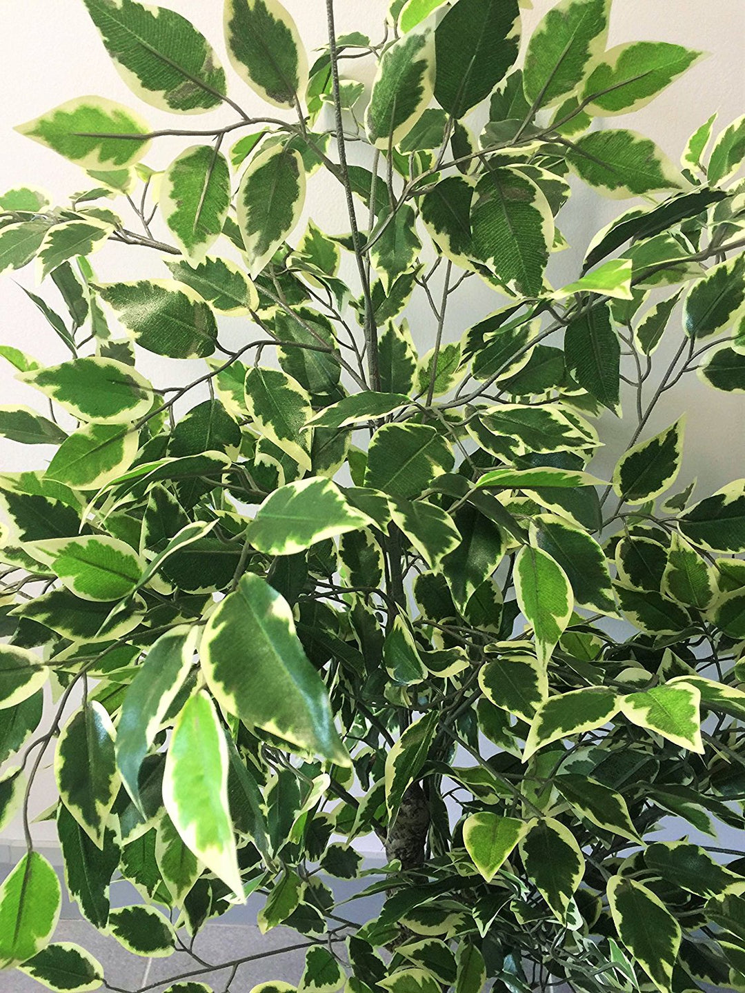 Best Artificial 4ft - 120cm Variegated Ficus Tree