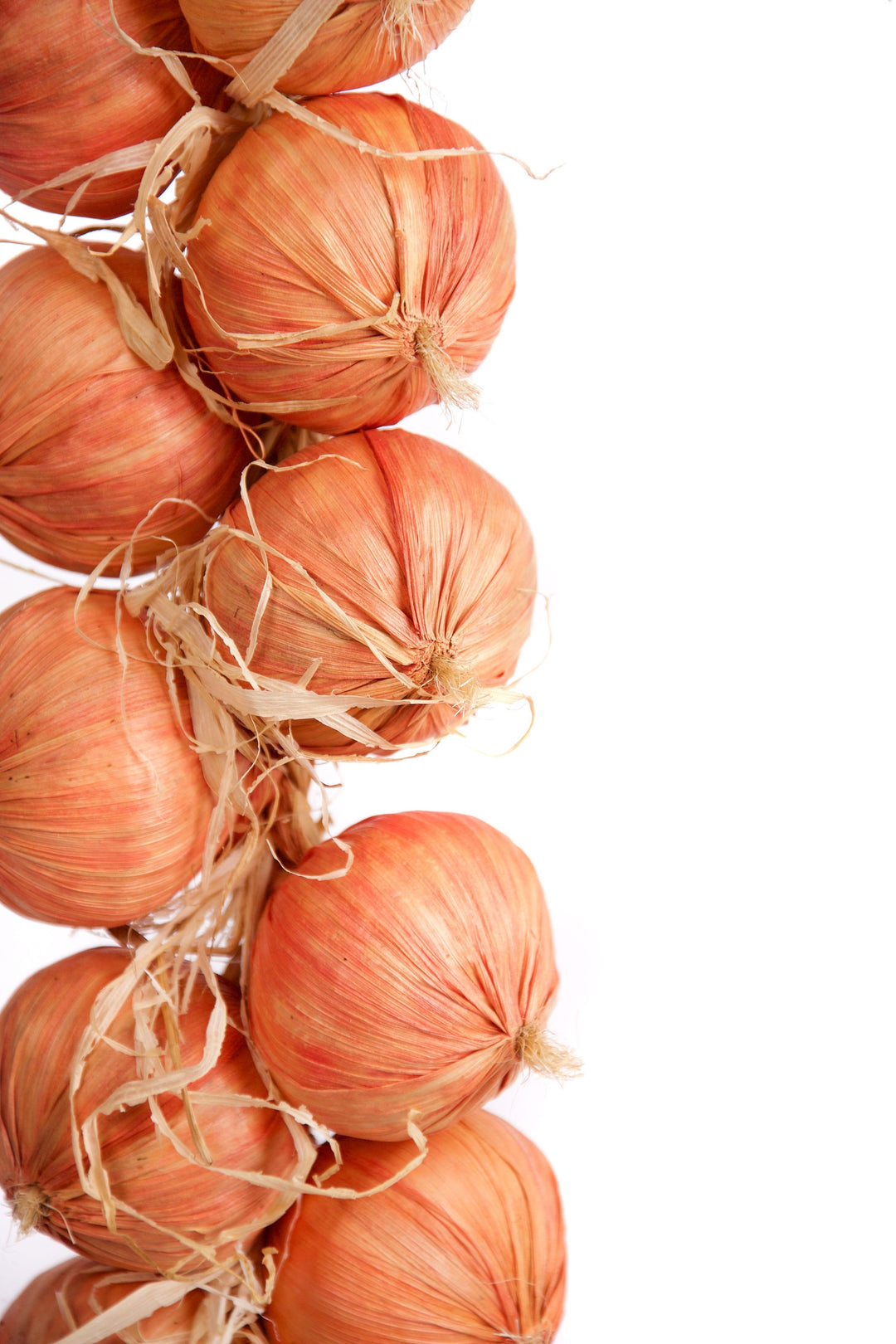 Large Best Artificial Onion String 80cm 18 onions