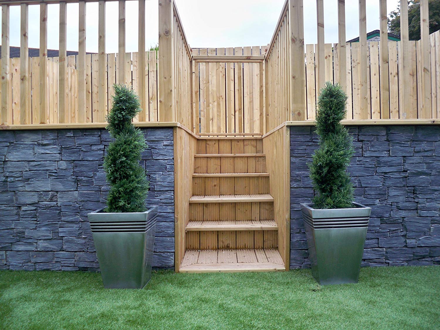 Cedar trees
