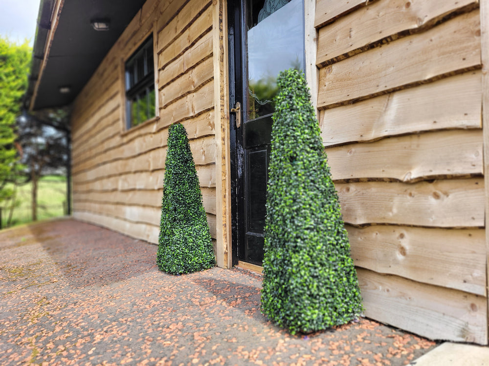 2ft Pyramid Obelisk Boxwood Topiary Tree