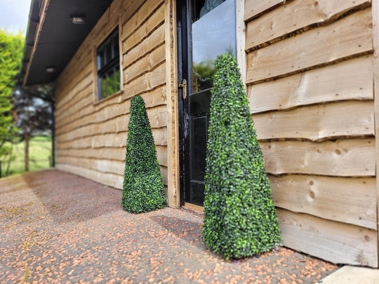 2ft Pyramid Obelisk Boxwood Topiary Tree