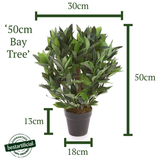 2ft/50cm Dwarf Bay Tree Potted Laurel Plant