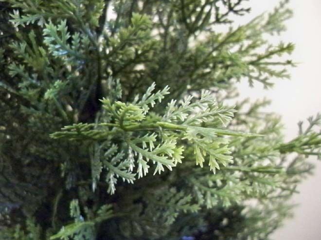 Pair Of Best Artificial 4ft Cedar Spiral Trees