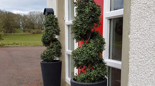 Natural Look 3ft Boxwood Topiary Spiral Tree UV Fade Protected