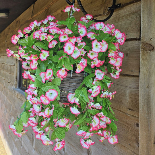 Best Artificial 60cm Morning Glory Flower Display in 10" Round Wicker Rattan Basket - Suitable for Outdoor, Indoor and Garden (Fuchsia & White)