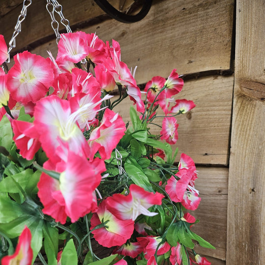 Best Artificial 75cm Morning Glory Flower Display in 10" Round Wicker Rattan Basket - Suitable for Indoor and Garden (Fuchsia & White)