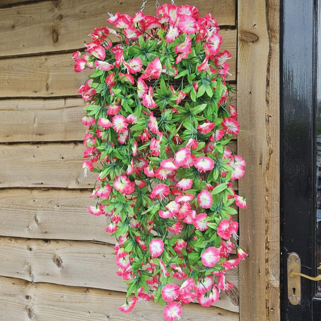 Best Artificial 75cm Morning Glory Flower Display in 10" Round Wicker Rattan Basket - Suitable for Indoor and Garden (Fuchsia & White)