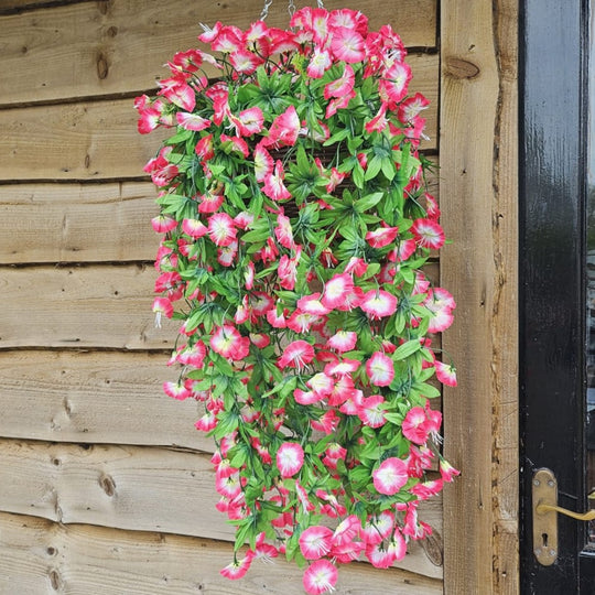 Best Artificial 75cm Morning Glory Flower Display in 10" Round Wicker Rattan Basket - Suitable for Indoor and Garden (Fuchsia & White)