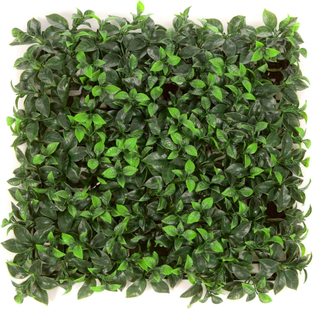 12 of Laurel Flower Hedging Mat - 50cm x 50cm