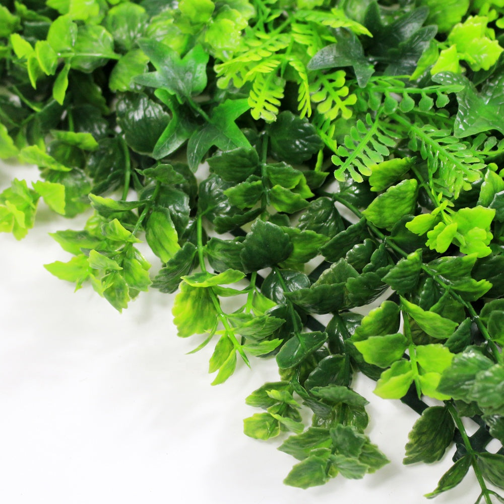 12 of Ivy Fern Mixed Hedging Mat - 50cm x 50cm
