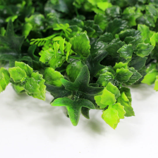12 of Ivy Fern Mixed Hedging Mat - 50cm x 50cm