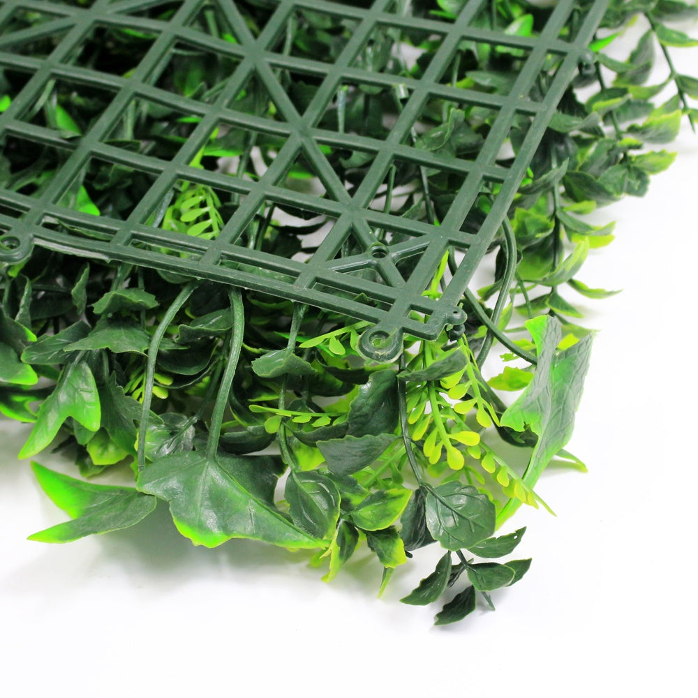 12 of Ivy Fern Mixed Hedging Mat - 50cm x 50cm