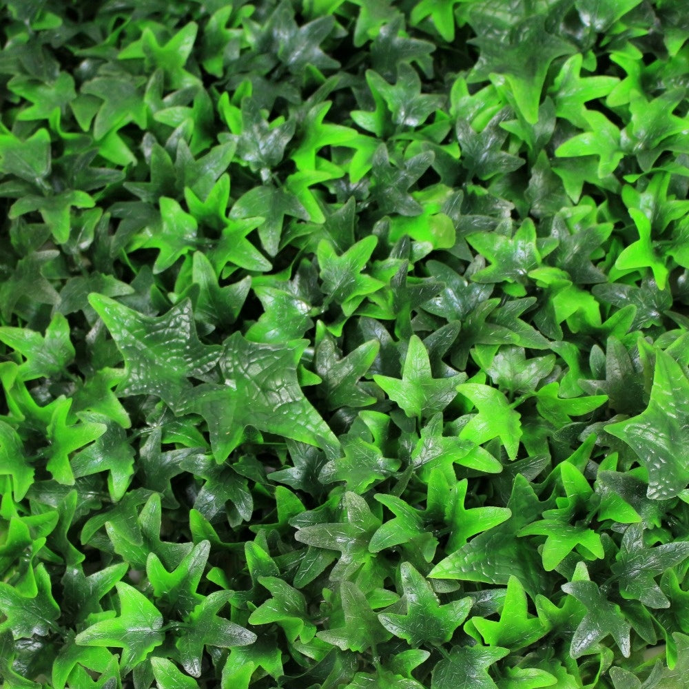 12 of Ivy Hedging Mat - 50cm x 50cm