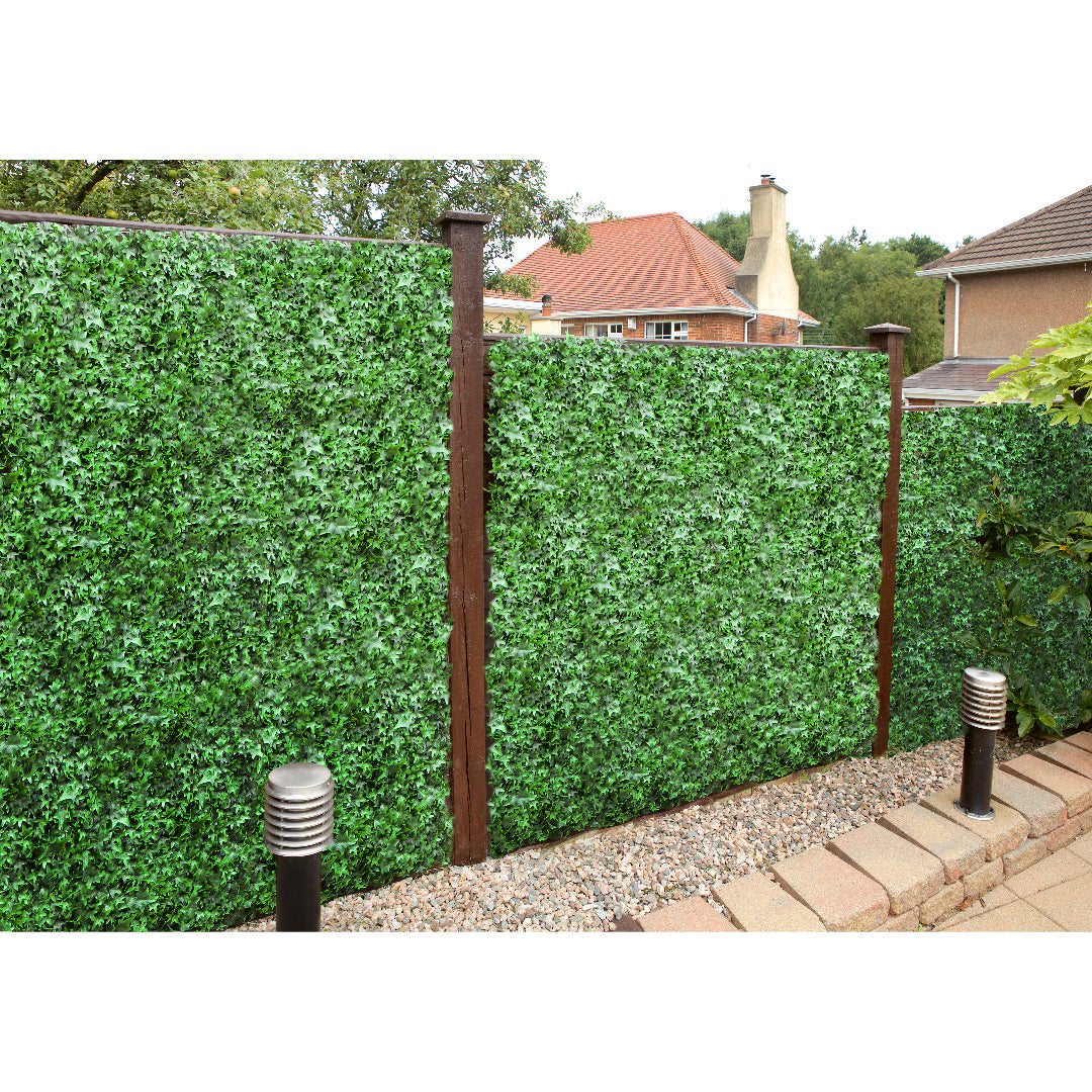 12 of Ivy Hedging Mat - 50cm x 50cm