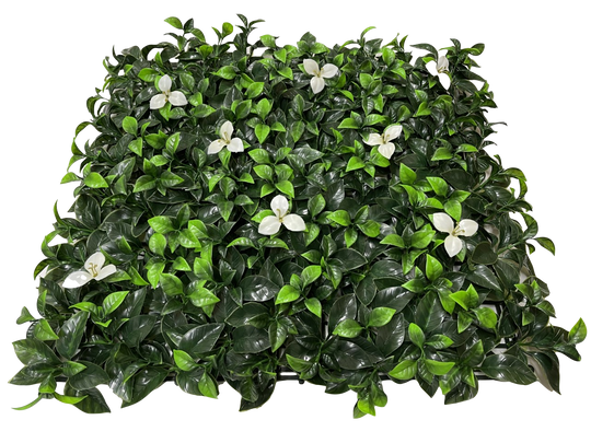 12 of Laurel Flower Hedging Mat - 50cm x 50cm