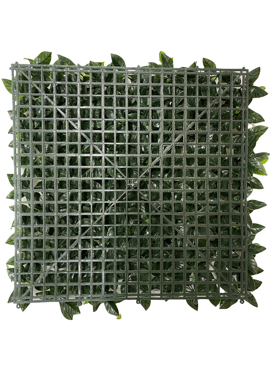 12 of Laurel Flower Hedging Mat - 50cm x 50cm