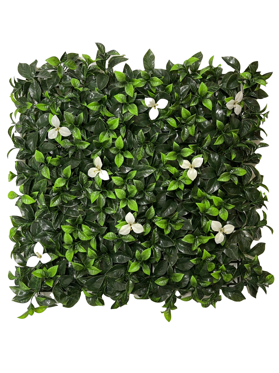 12 of Laurel Flower Hedging Mat - 50cm x 50cm