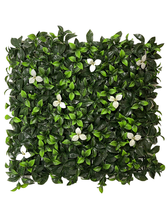 12 of Laurel Flower Hedging Mat - 50cm x 50cm