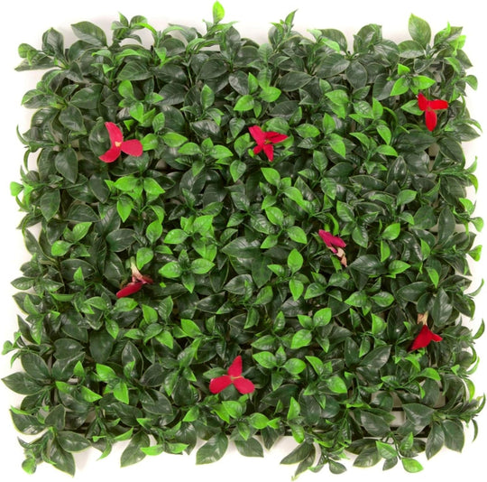 12 of Laurel Flower Hedging Mat - 50cm x 50cm