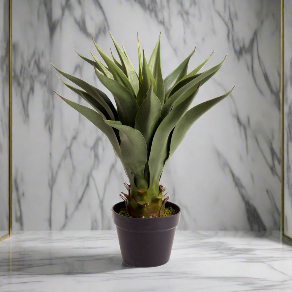 Best Artificial 3ft - 80cm Aloe Vera Plant