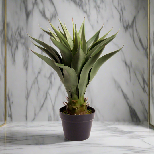 Best Artificial 3ft - 80cm Aloe Vera Plant