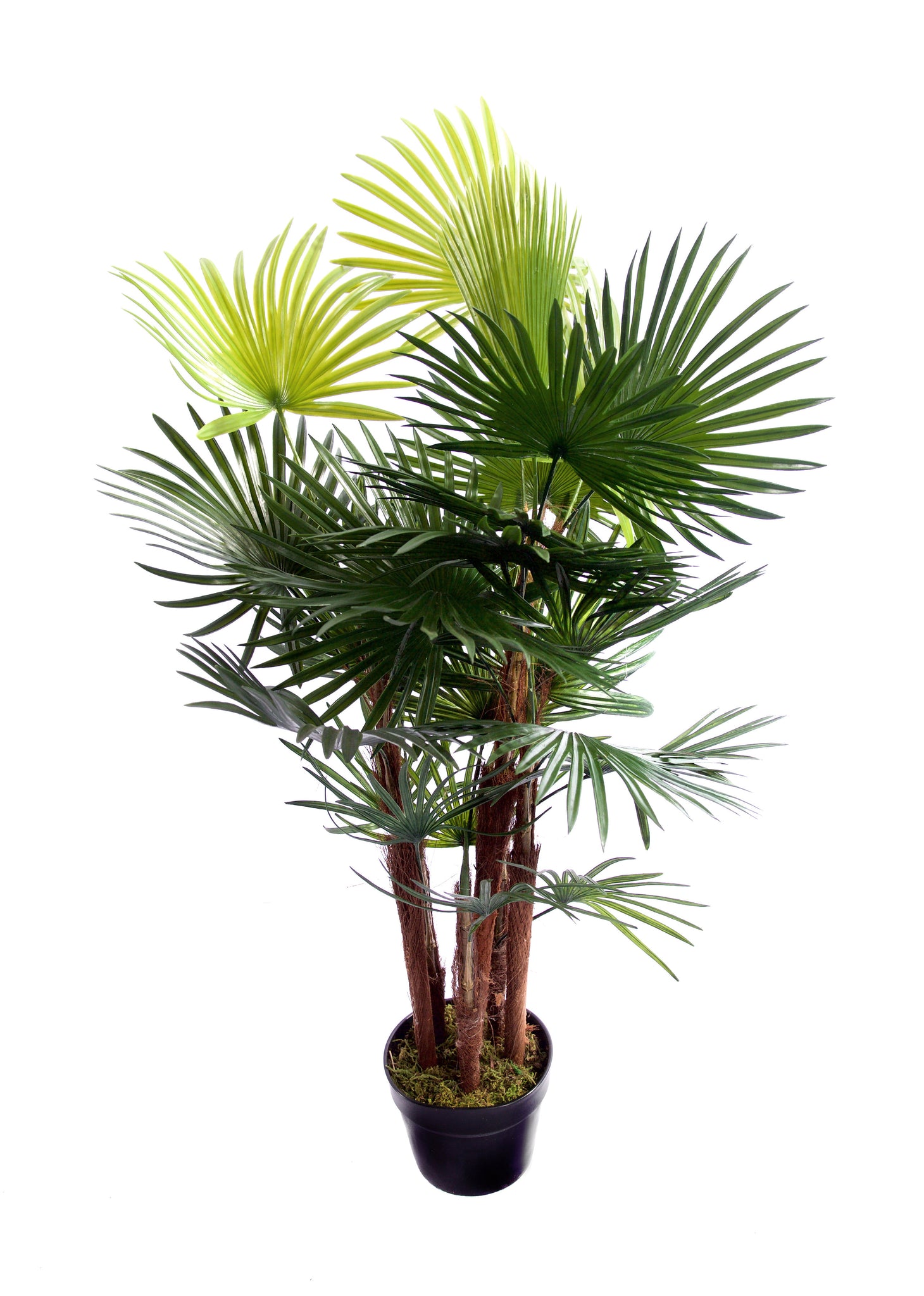 Best Artificial Spider Finger Palm Tree