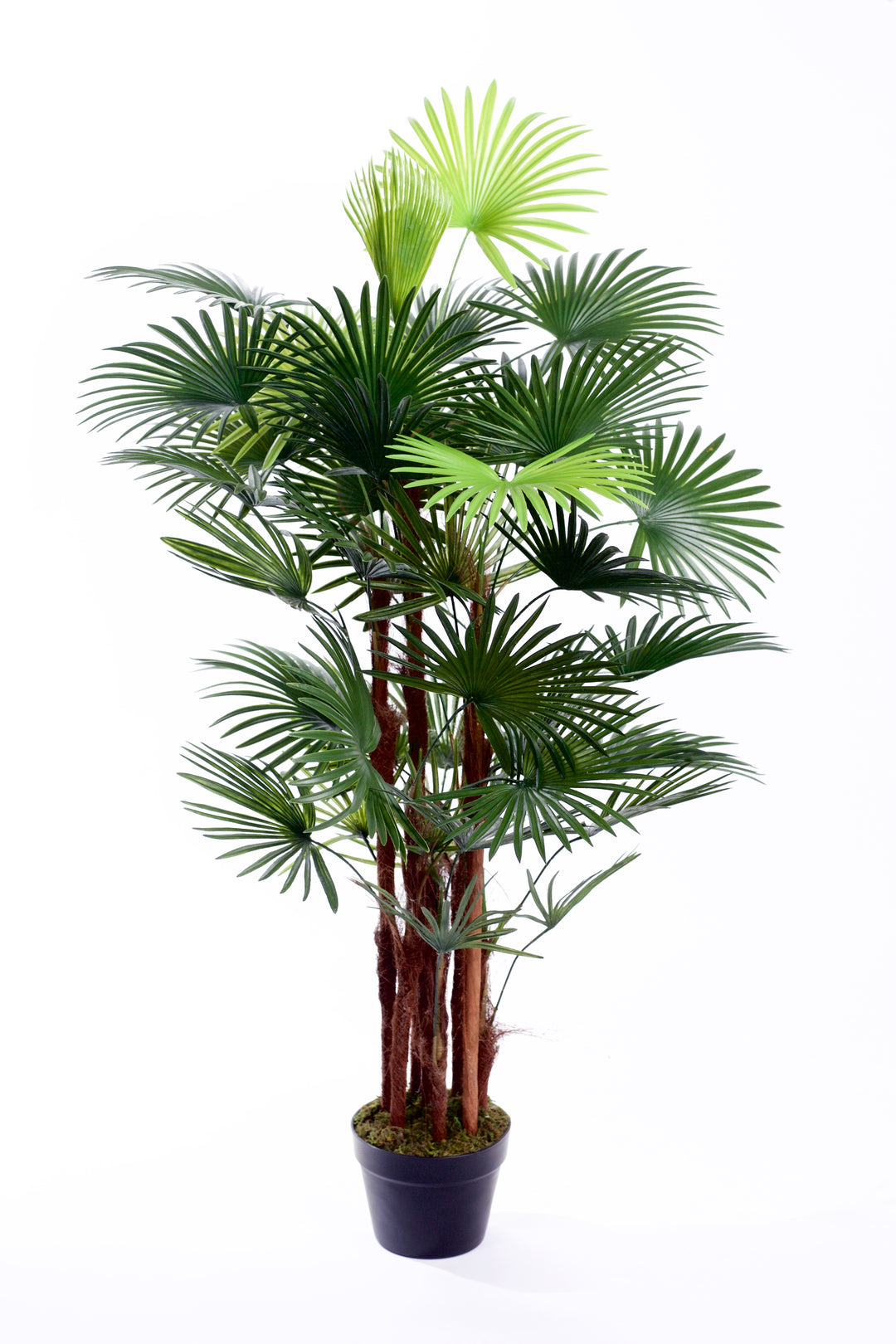 Best Artificial Spider Finger Palm Tree