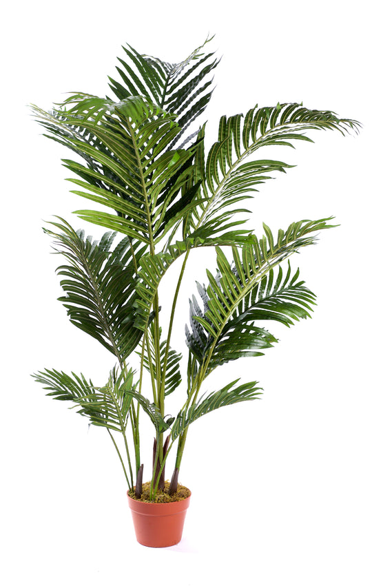 Best Artificial Areca Palm Tree