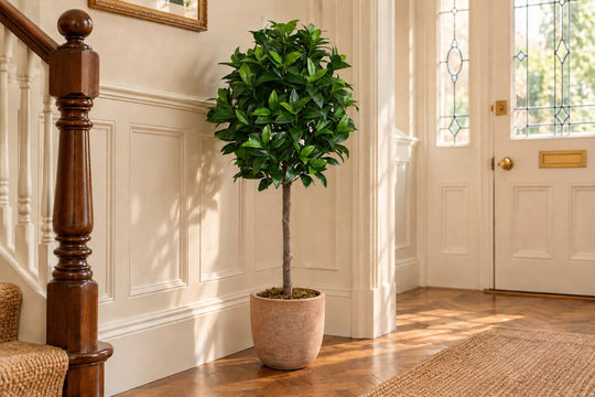 Best Artificial 4ft - 120cm Bay Tree in a UK home or garden setting