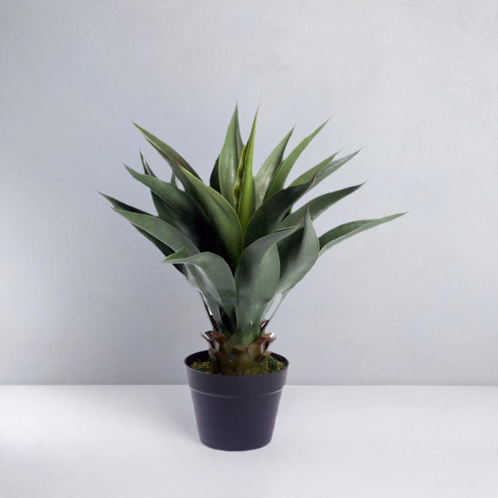 Best Artificial 2ft - 60cm Aloe Vera Plant