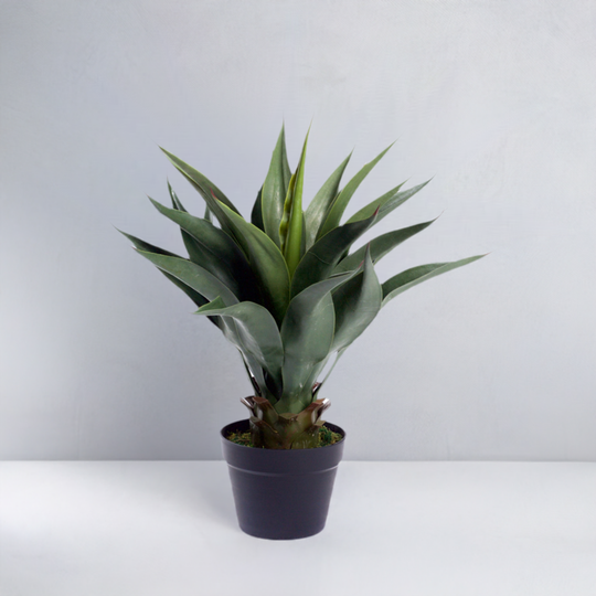 Best Artificial 2ft - 60cm Aloe Vera Plant