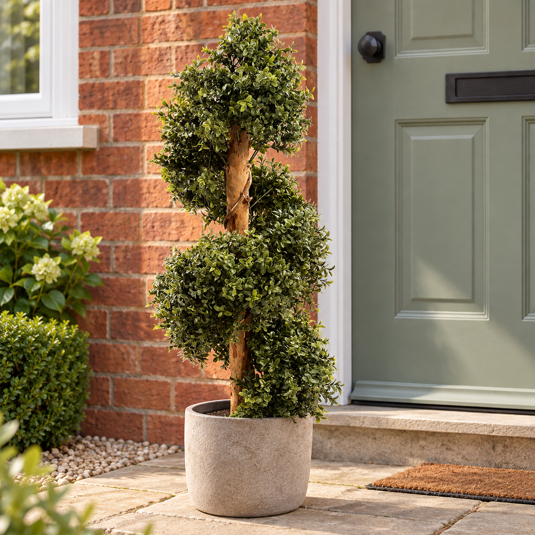 90cm Natural Look boxwood spiral with natural wood trunk in a UK entrance; decorative planter not included