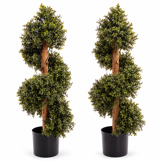 Pair of trees in the supplied black pots