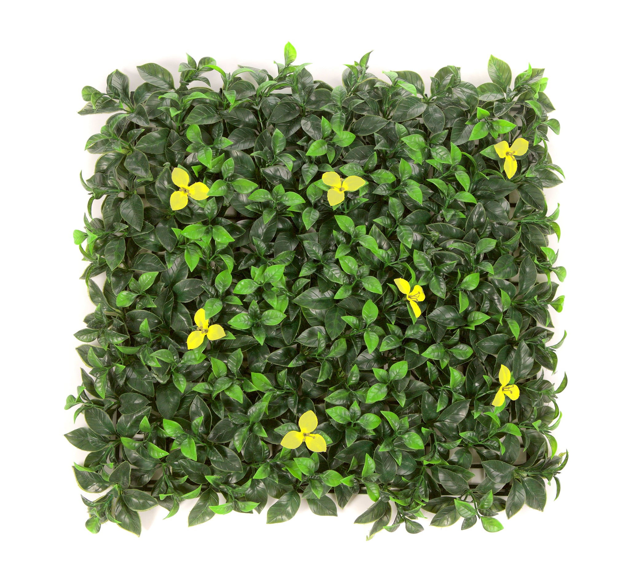 12 of Laurel Flower Hedging Mat - 50cm x 50cm