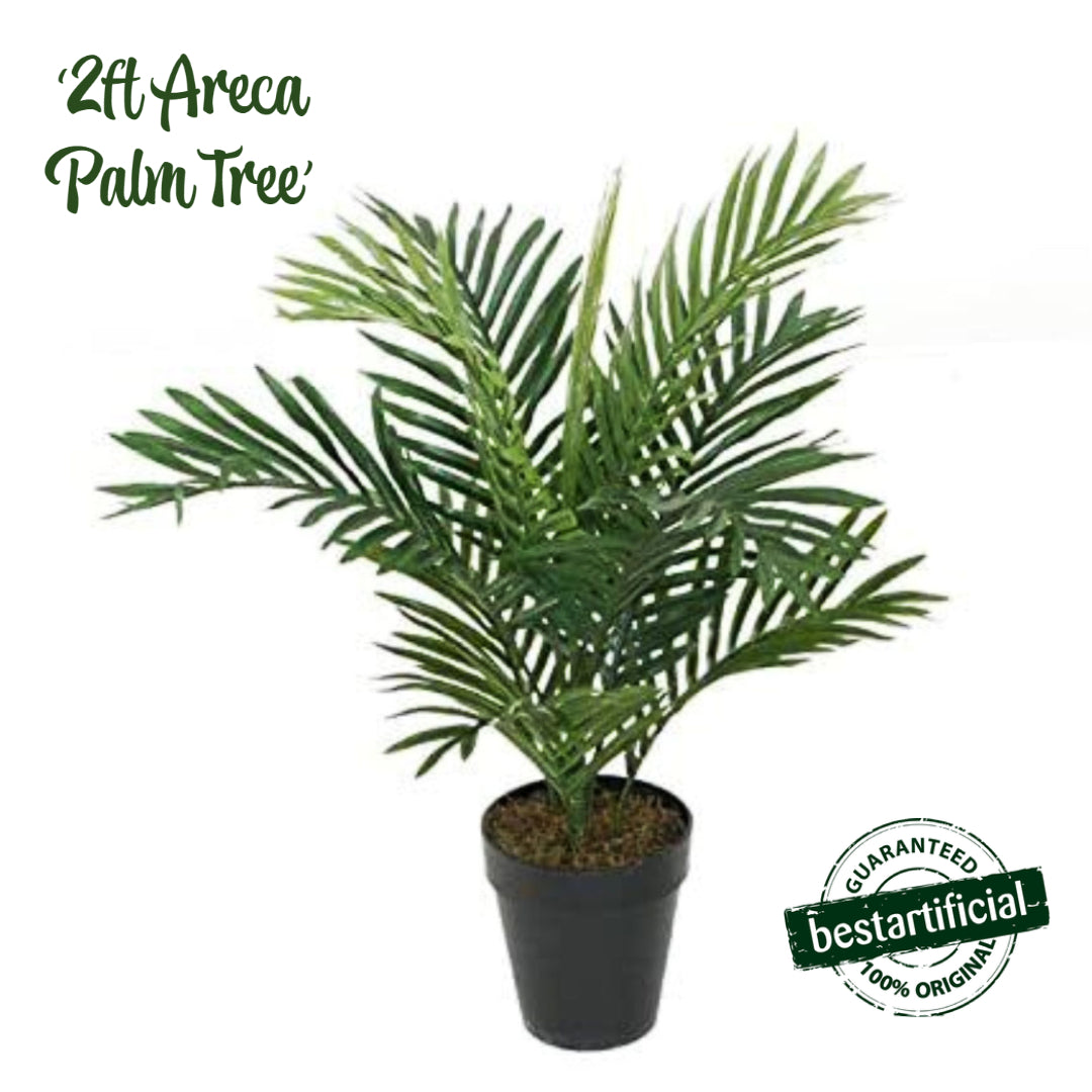 Best Artificial 2ft - 60cm Areca Palm Tree