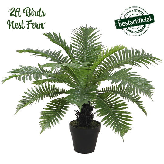 Best Artificial 2ft - 60cm Birds Nest Fern Plant