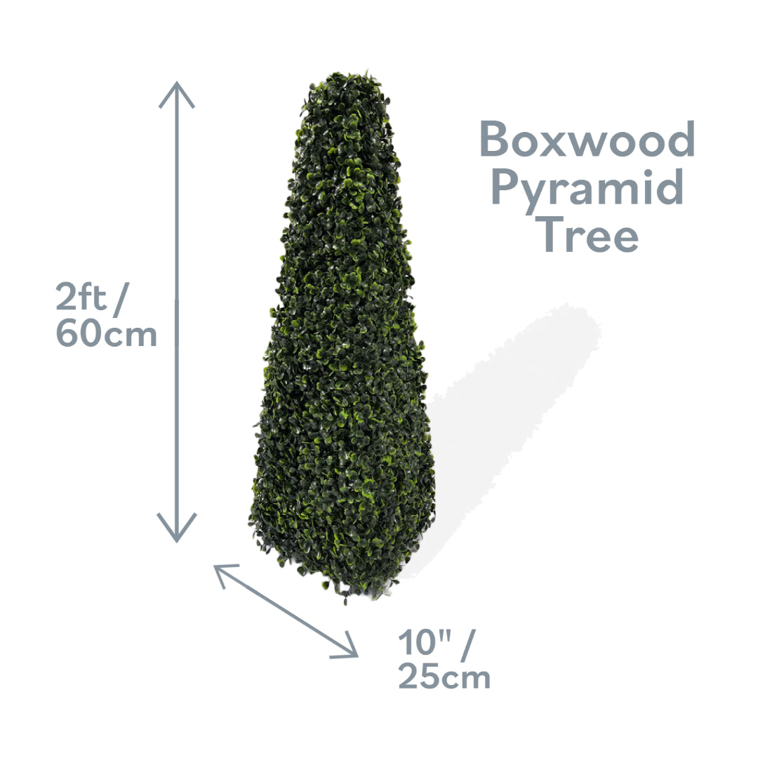 2ft Pyramid Obelisk Boxwood Topiary Tree