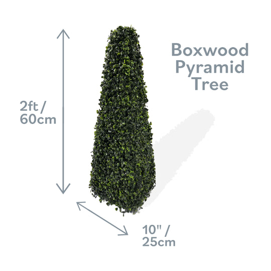 2ft Pyramid Obelisk Boxwood Topiary Tree