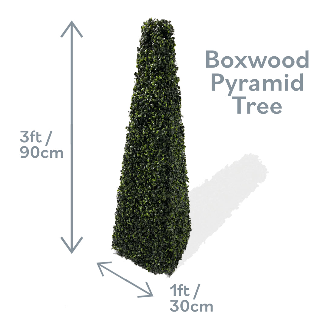 3ft Pyramid Obelisk Boxwood Topiary Tree
