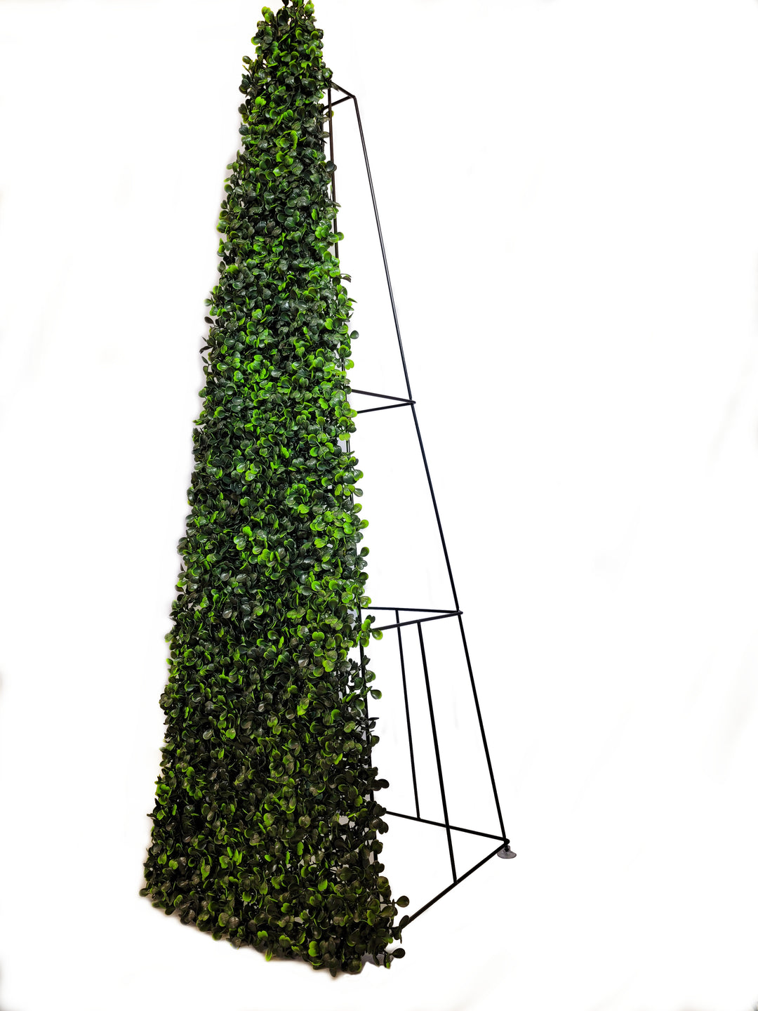3ft Pyramid Obelisk Boxwood Topiary Tree