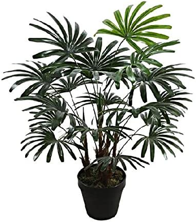 Best Artificial Spider Finger Palm Tree