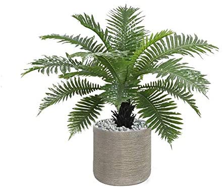 Best Artificial 2ft - 60cm Birds Nest Fern Plant
