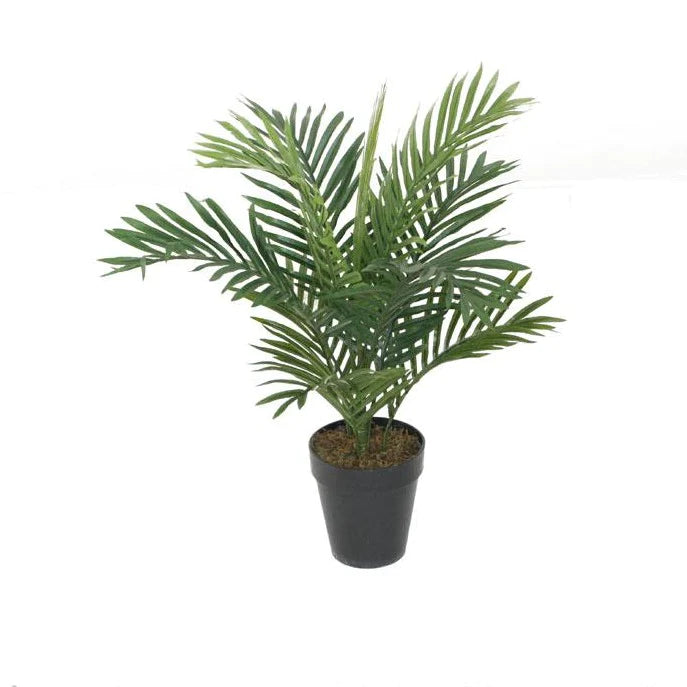 Best Artificial Areca Palm Tree