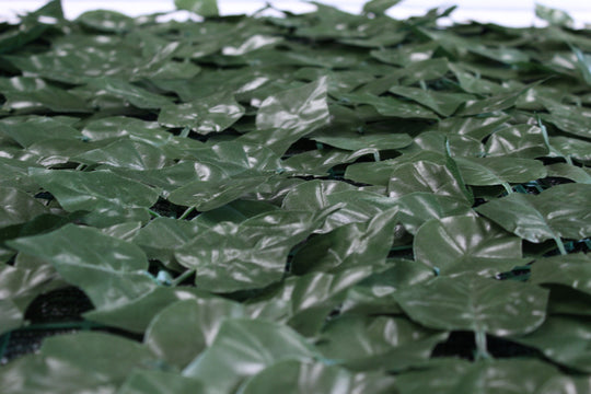 Best Artificial 3m x 1m English Ivy Leaf Screening with Net Privacy Backing