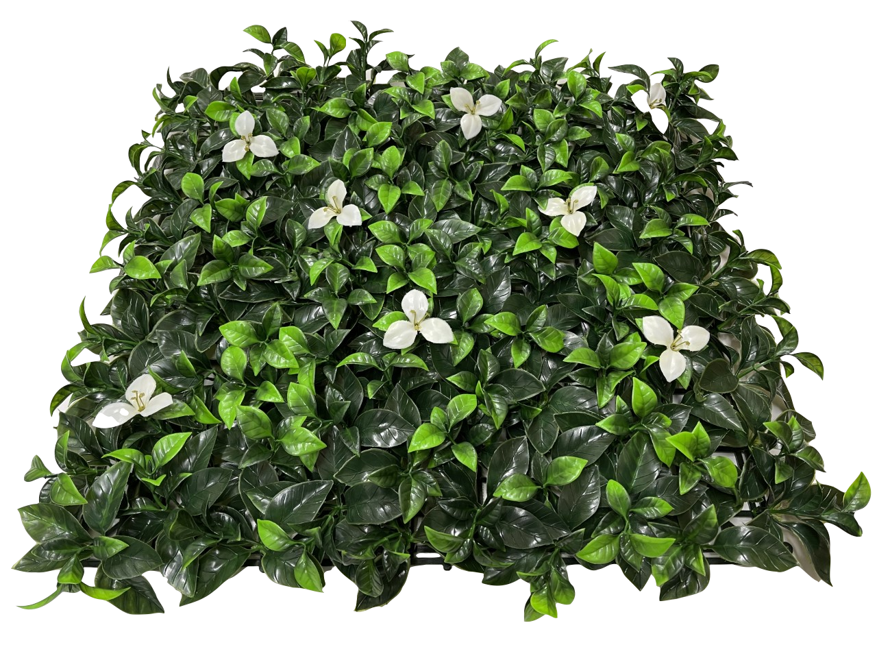 Laurel Flower Hedging Mat - 50cm x 50cm