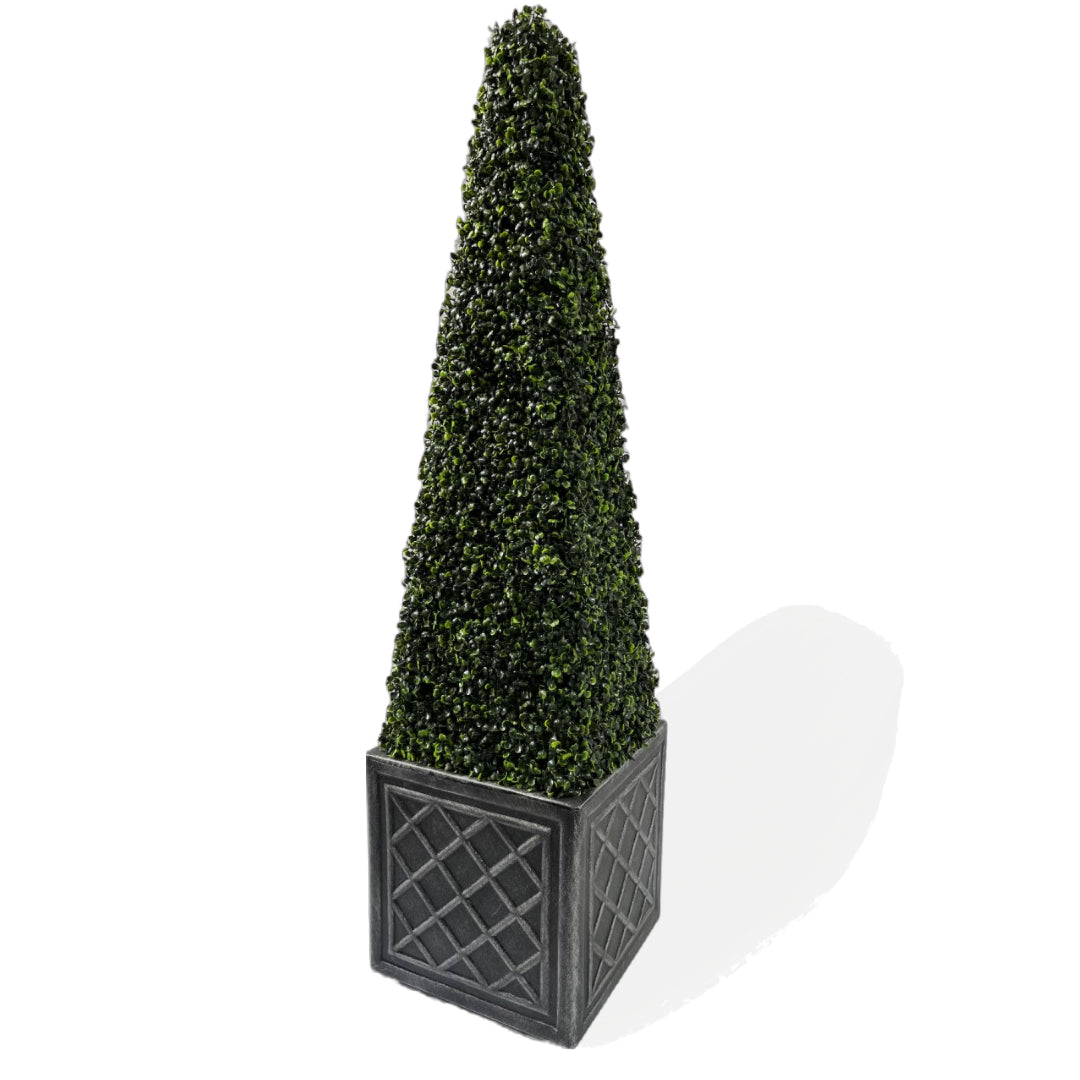 3ft Pyramid Obelisk Boxwood Topiary Tree